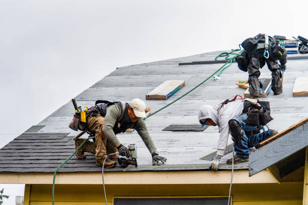 Professional Storm Damage Roof Repair technician working in Pompano Beach, FL